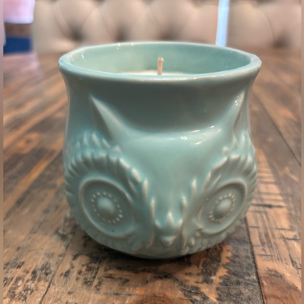 Teal Green Owl- Cashmere Woods Soy  Candle